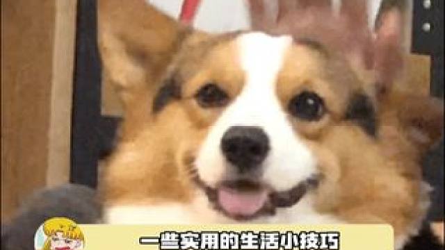 快来看看这些小技巧有没有你用得上的 #小技巧