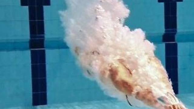 水下纯享版 #游泳 #体育生 #197 #acepro2运动相机