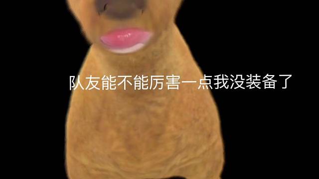 姥爷队友