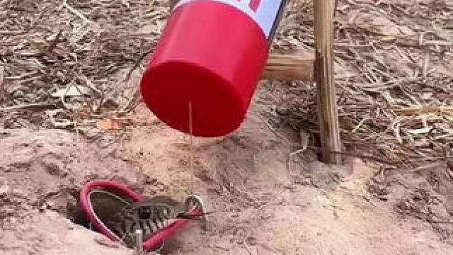 #科普一下 #万万没想到