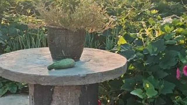 拾了个磙子，捡了个沼气池盖！一拚，一个石桌成型了！很有氛围感！