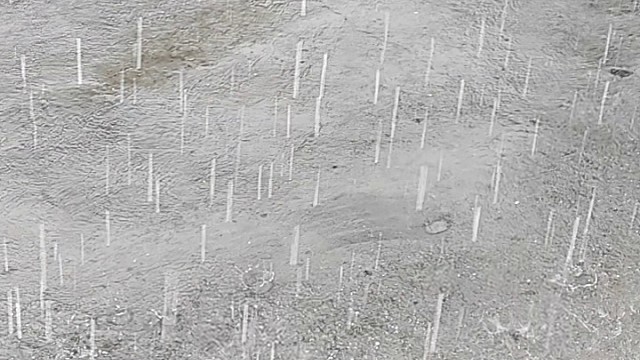 农村想吃鱼有多简单大鱼的时候找一条小沟下网看看能收获多少