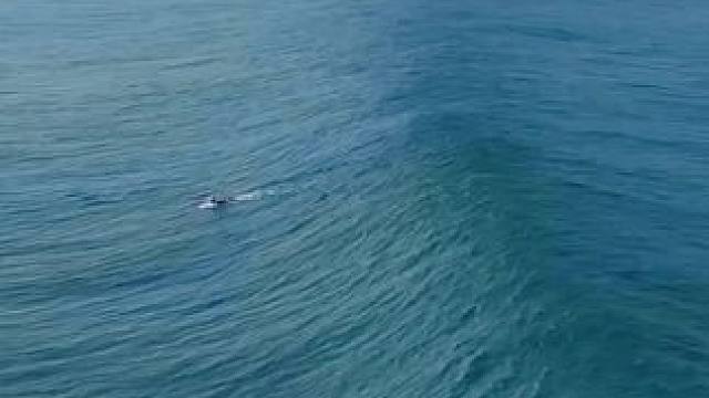 这一波妥了 #冲浪‍♂️