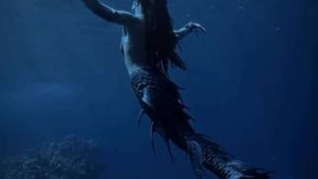 美人鱼‍♀️ #国外视频分享 #水下摄影 #潜水女孩