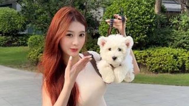 恭喜这位女士喜提新包#西高地 #小狗挂件 #太可爱了吧