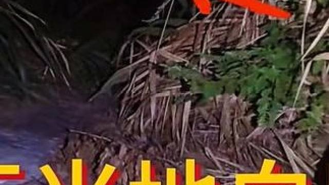 玉米地出现“白影”，男子撒腿就跑#恐怖故事 #户外探险