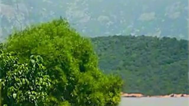 我发布了一个新视频，快来围观吧！