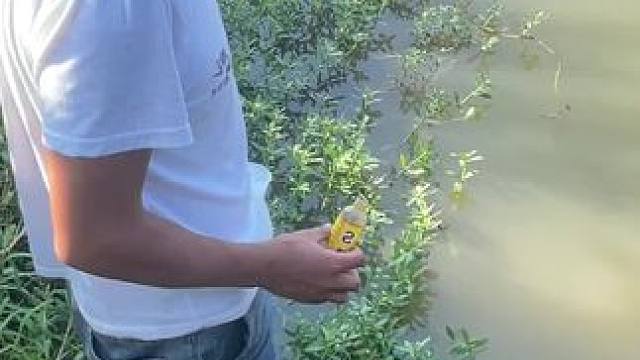 这是什么#钓鱼的乐趣只有钓鱼人懂 #测试 #钓鱼人就是这么疯狂 #钓鱼 #钓鱼技巧