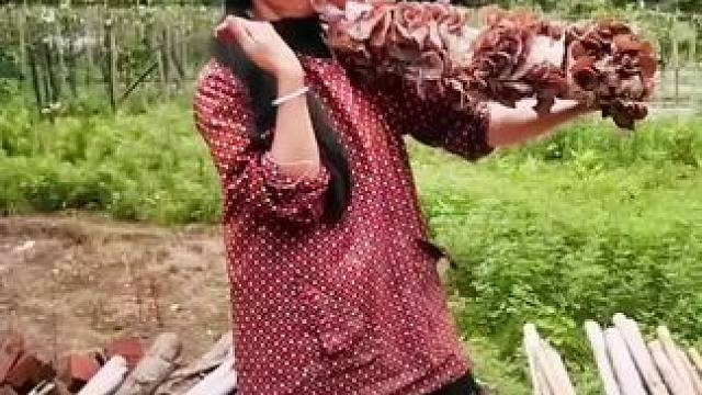 山卡卡里的农村大姐学费了开直播每天收获满满您还在恐播怕播不敢开播开播了不知说什么吗#记录真实生活 #