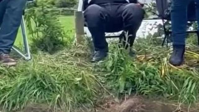 #曼岛tt  #专业动作请勿模仿 #第一视角