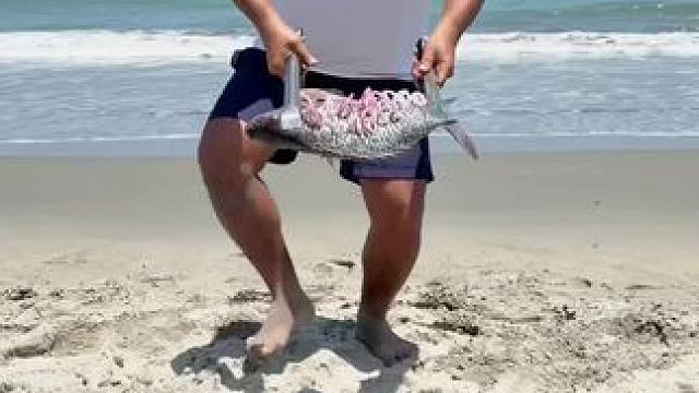 户外野餐 #户外烧烤野炊 #海滩海滩 #原创视频 #日常生活 #海滩美景