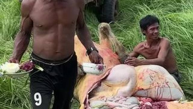 东南亚原始部落 #我的乡村生活 #户外烧烤野炊 #原创视频 #野外生活