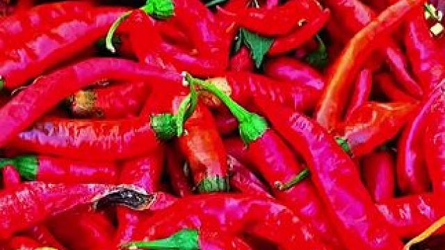 #乡村的生活 ！田园风光