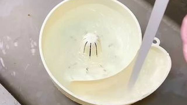 蜗牛自动清洗篮 蜗牛自动清洗篮，有了它，以后洗水果可就太方便了，自动洗干净还能自动沥水，#沥水篮  