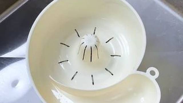 蜗牛自动清洗篮 有了它，以后洗水果可就太方便了，自动洗干净还能自动沥水，#沥水篮  #厨房好物  #