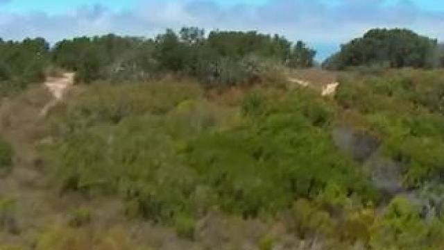 【IndyCar】正赛集锦 | 2025 Java House Grand Prix of Mont