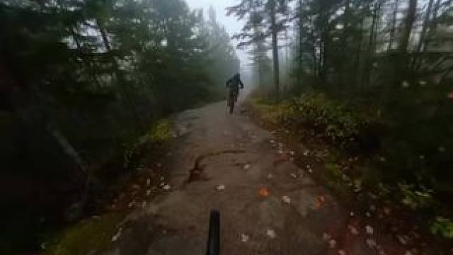 不也担心，森林会记住你#双轮驱动bike #速降山地车