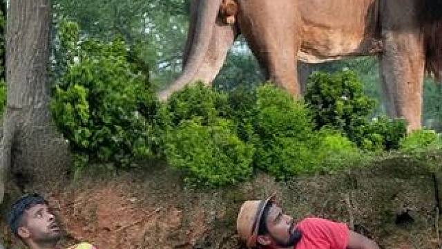 印度三名男子作死，跑到原始丛林狩猎，被野人与狮子盯上全村吃席 #印度三哥 #孟加拉虎 