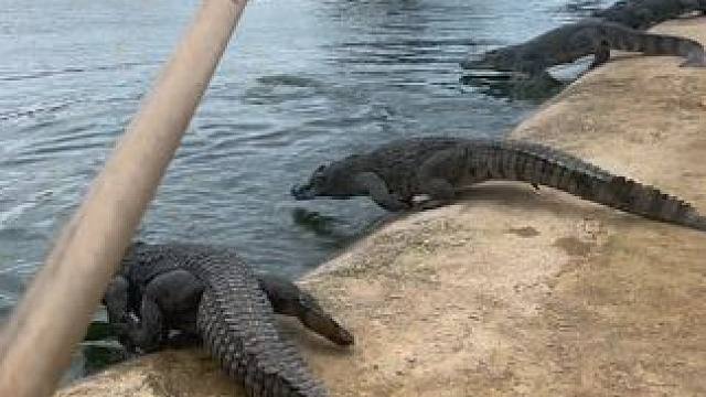 请积极配合，我怕刹不住车#非专业人士请勿模仿