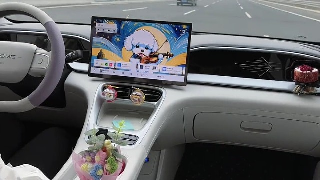 你的第一辆车是什么