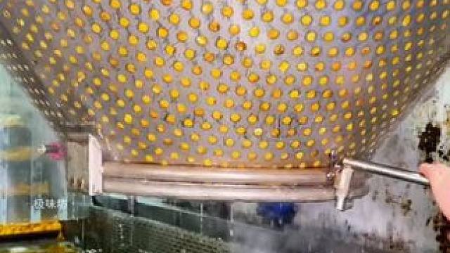 罐头是垃圾食品吗，看完视频你就明白了！ #杏罐头 #水果罐头