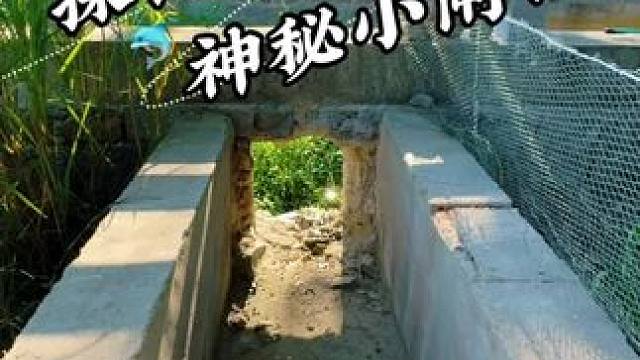 探钓神秘小闸口 #钓鱼#钓鱼日记#户外钓鱼#野河野钓#钓鱼的乐趣只有钓鱼人懂