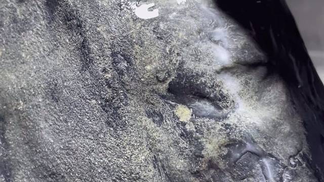 莫湾基，已开，大家觉得涨还是夸。