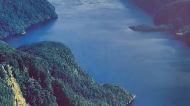 这人机不傻嘛~ #玩个很新的东西 #益智玩具