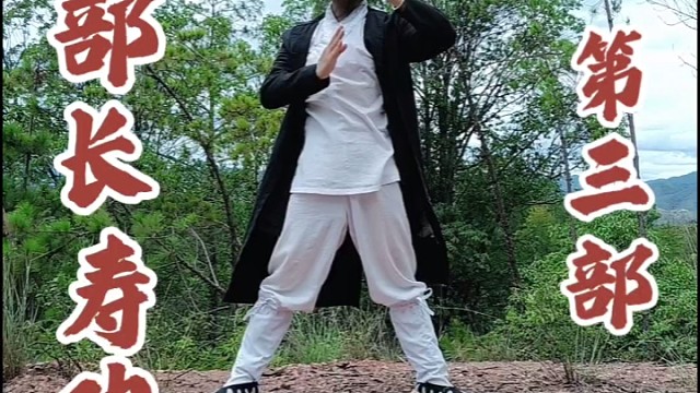 八部长寿功第三部