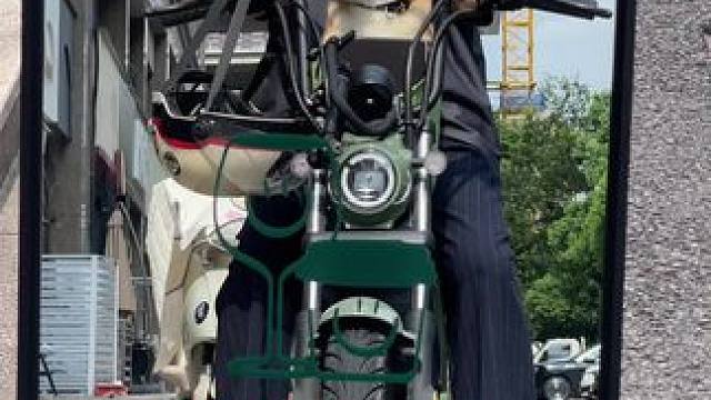 台风天也要带小狗遛弯 #柴犬 #日常生活 #小修狗