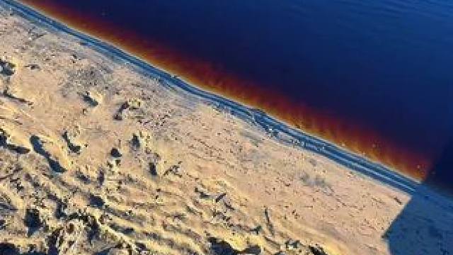 你以为是一只钢笔，其实是。 #鱼竿 #男人的玩具