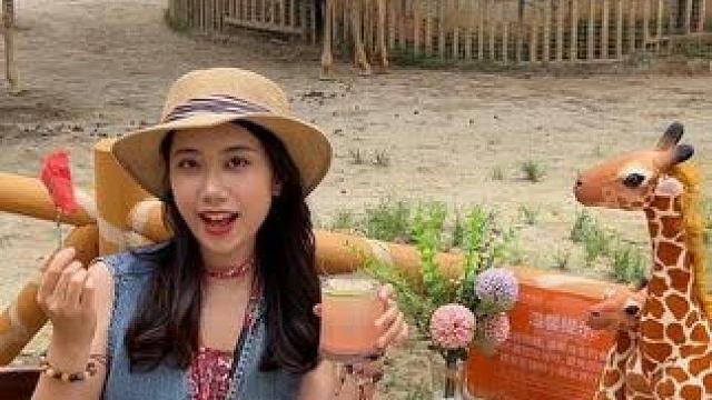 没去肯尼亚，就在福建厦门… #很哇塞的周末#厦门亲子酒店#厦门灵玲长颈鹿庄园#远古巨兽现身灵玲国际马