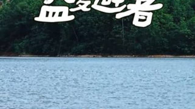 这个烫腚的夏天，让九峰山还你一些清凉！
#治愈系风景 #好山好水好风景 #养在九峰山 #夏天