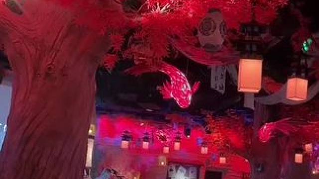 万晟天街新晋潮流地！新・火塘民谣酒吧，百万网红驻场 + 顶级音响，从7点嗨到凌晨4点半，客人不走歌不