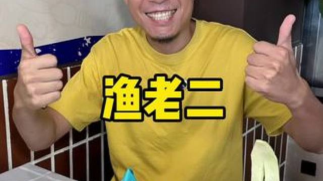 华苑智慧山真的好合适#炒菜 #海鲜 #新店开业 #工作餐 #华苑