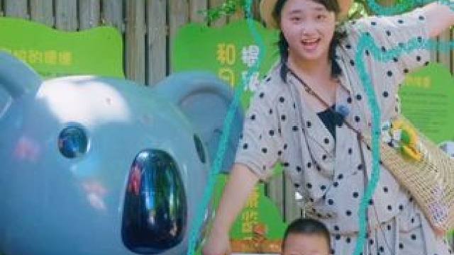 实测两大一小南京红山动物园花费#红山动物园 #亲子游玩好去处 #南京旅游