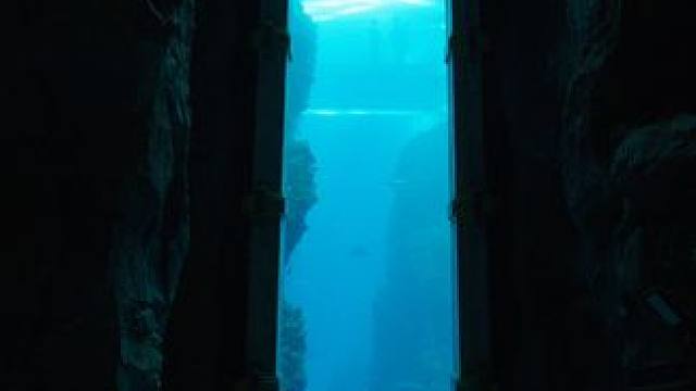 神仙姐姐同款机位这就是深海里的世界吗？。#替我自由时别忘了喊我看 #机位天才已就位 #在阿布扎比 #