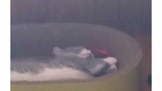 ラブ・ユー・テンダー!