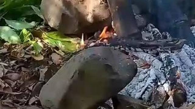 竹林烤鸡蛋晚餐 #野外生活纪录片 #原始美味