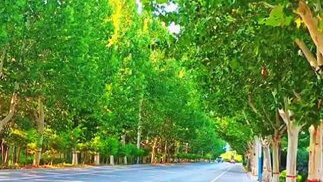 #我的城市由我拍