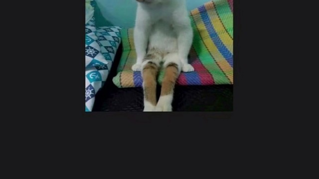 论前任有多恶心