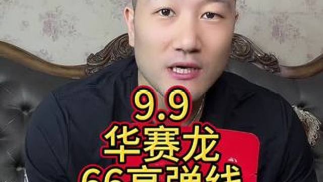 我们华赛龙的66线是一款高弹线，建议28磅