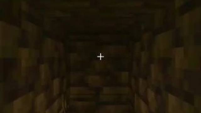 #我的世界 #Minecraft