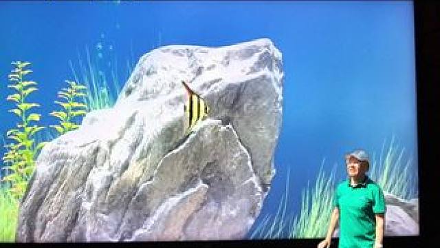 #电子鱼缸屏 #爽目