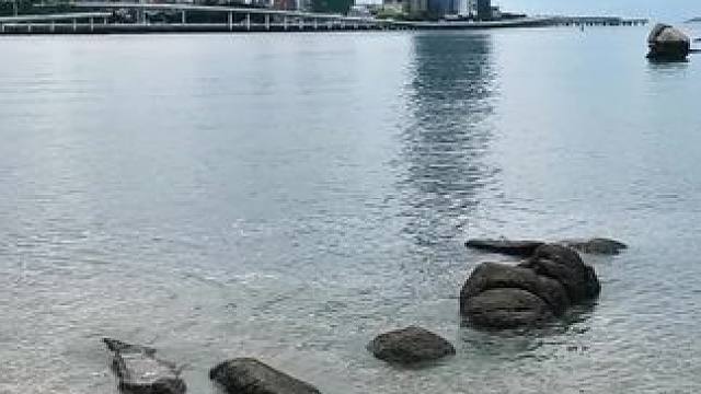 #带你去看海 #手机摄影#厦门风景。