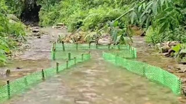 #原生态乡村生活 #大山里的原生态 #农村生活记录 #捕鱼