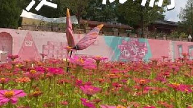 旅行就要不跟风慢慢游，欢迎来到九峰山景区滋养身心#拥抱自然 #景点打卡 #到此一游 #养在九峰山