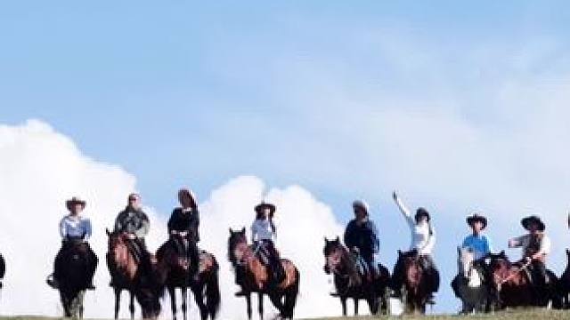 恰西的旱地拔葱！ #鳄珍 #鳄鱼皮具 #鳄鱼养殖场