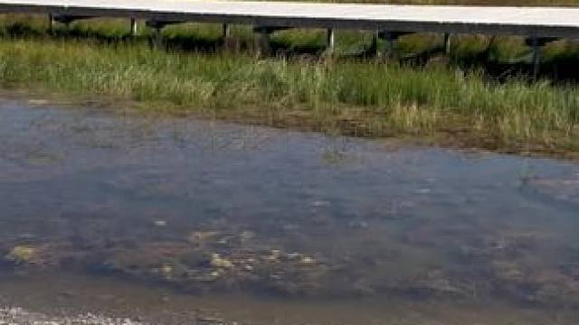 赛里木湖，撒贝宁我没白活！ #鳄珍 #鳄鱼皮具 #鳄鱼养殖场