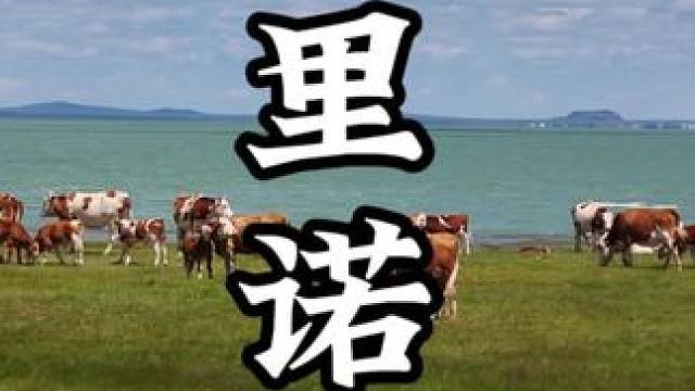 来锡林郭勒草原千万不能错过这里❗ #旅行推荐官 #美丽的草原风光无限 #大草原美好生活 #夏天的草原